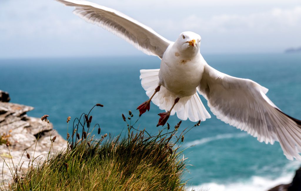 Tintagel