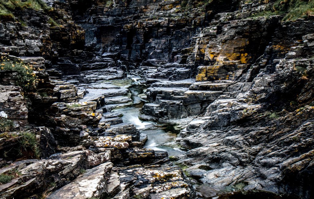 Bossiney Haven