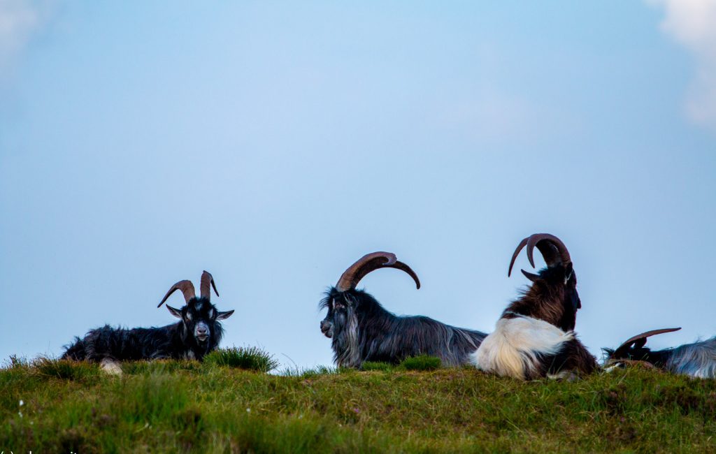 Connemara Nationalpark