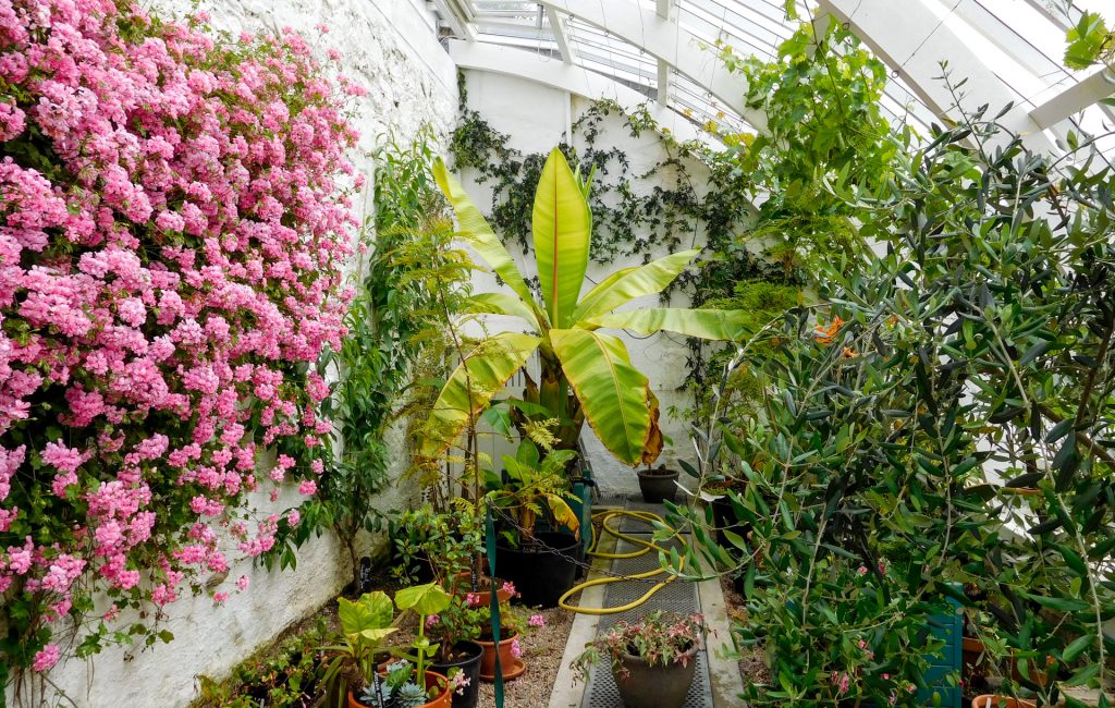 Victorian Walled Garden