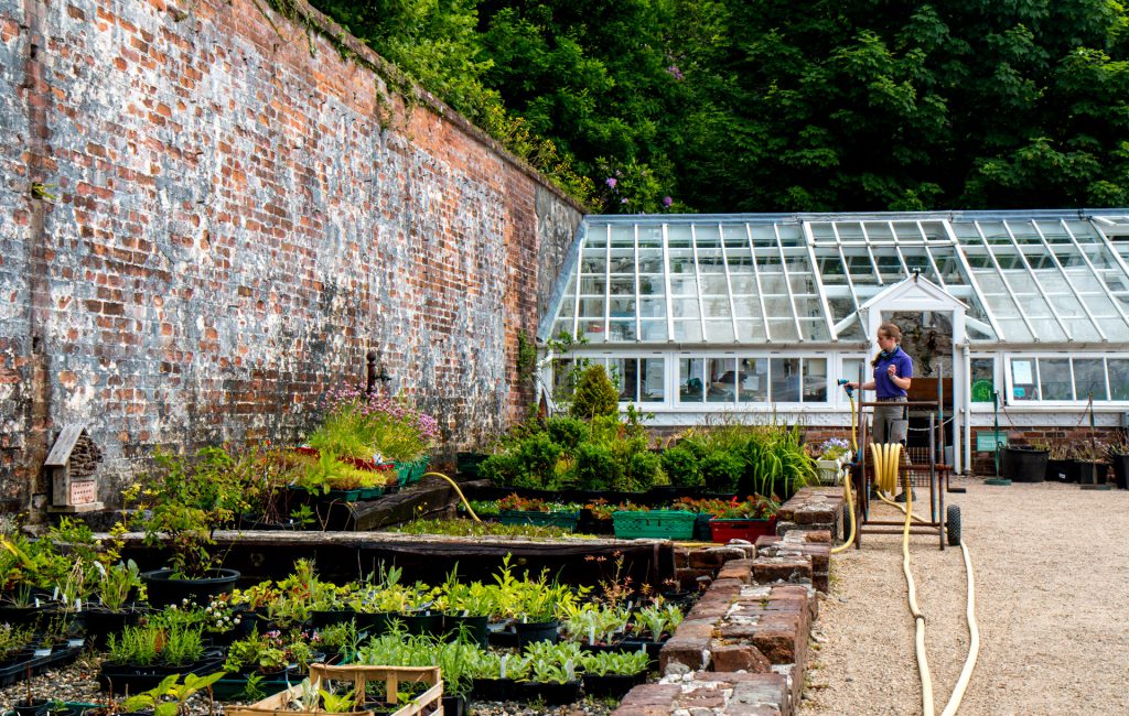 Victorian Walled Garden