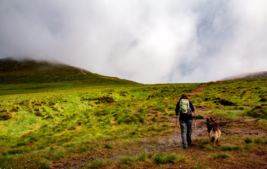 Errigal