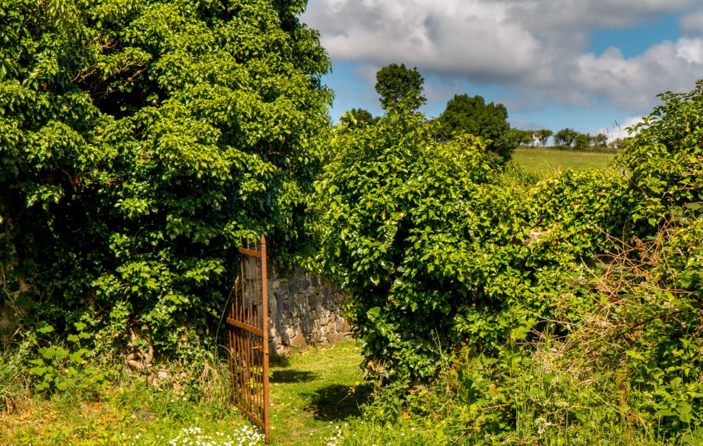 Doe Castle