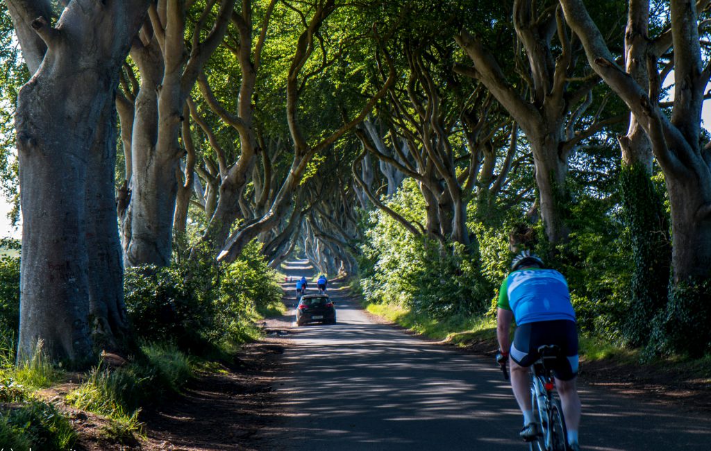 Dark Hedges