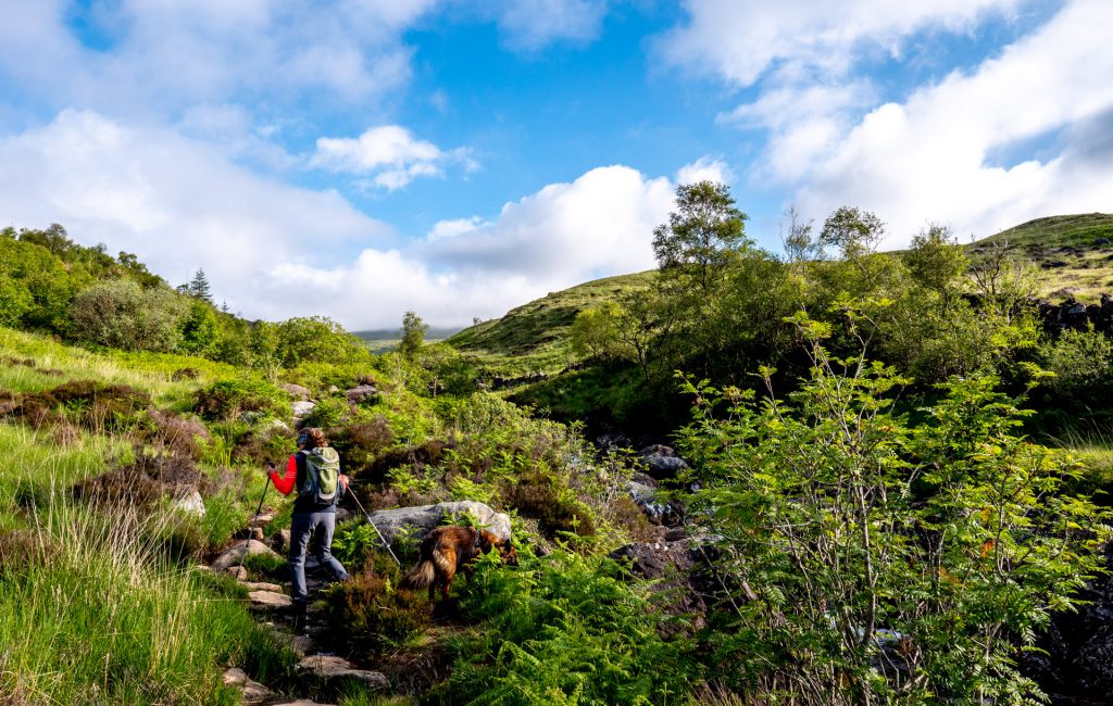 Merrick Trail