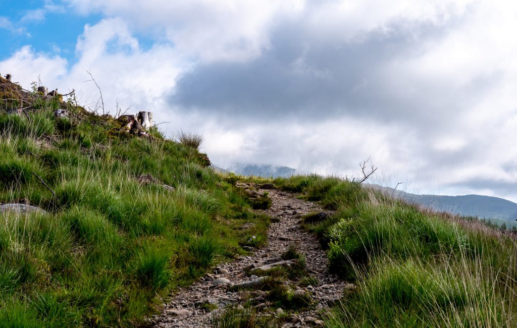  Merrick Trail 