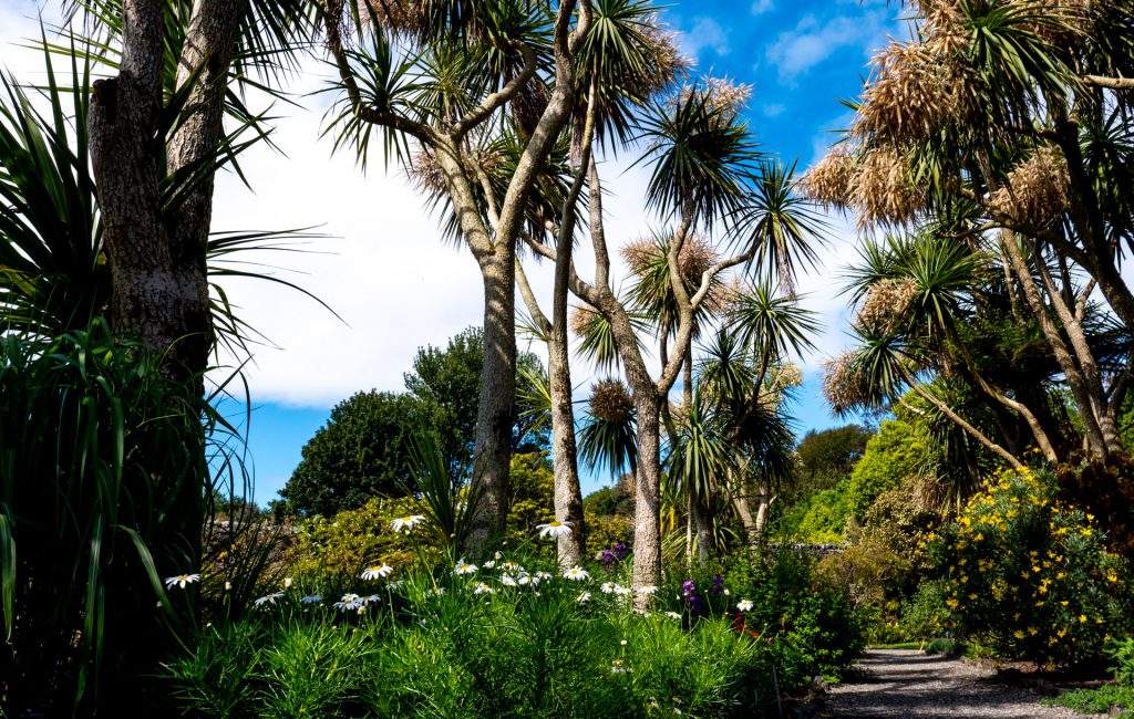 Logan Botanic Garden 