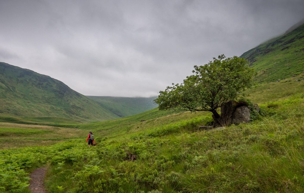 Glen Rosa