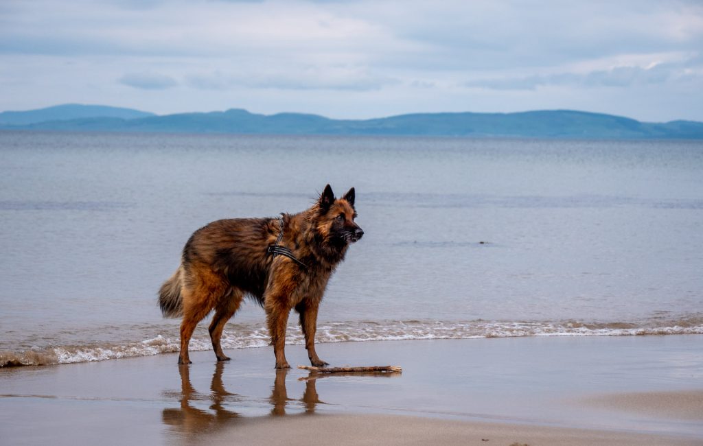 Isle of Arran