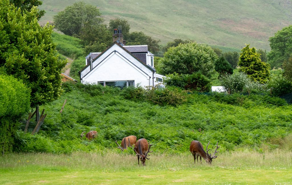 Isle of Arran