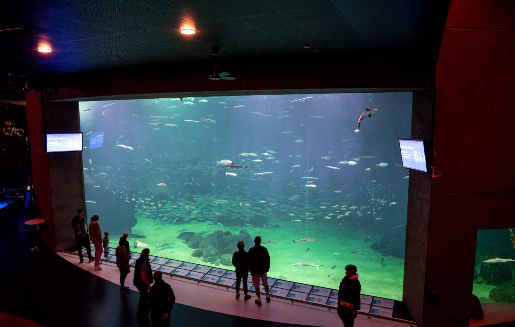 Ozeanarium Hirtshals